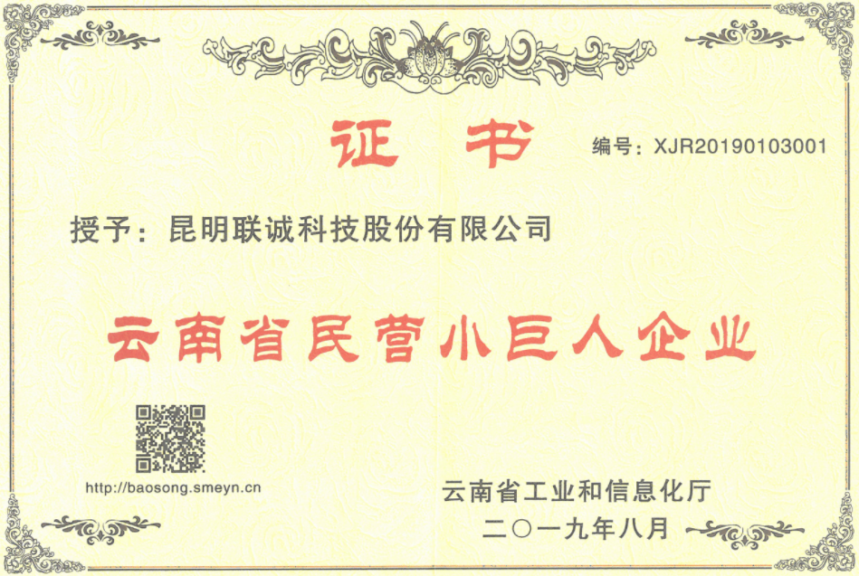 1770109075382510 云南省民营幼巨人企业